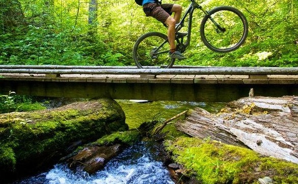 Kokanee Chalets- Motel- RV Park - Campground - Mountain Bike Trail-9f57fcf95056a36.png